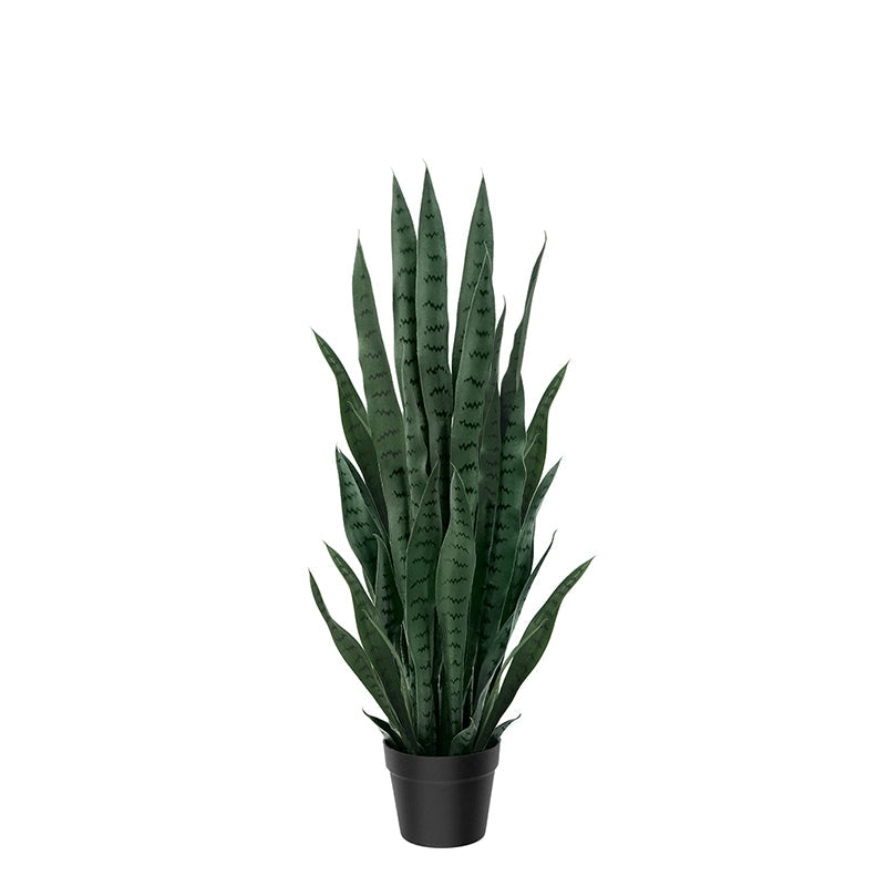 Artificial Sansevieria Plants