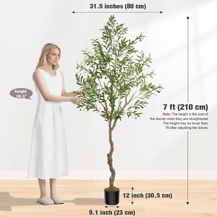 #Size_7FT 968 leaves and 46 fruits