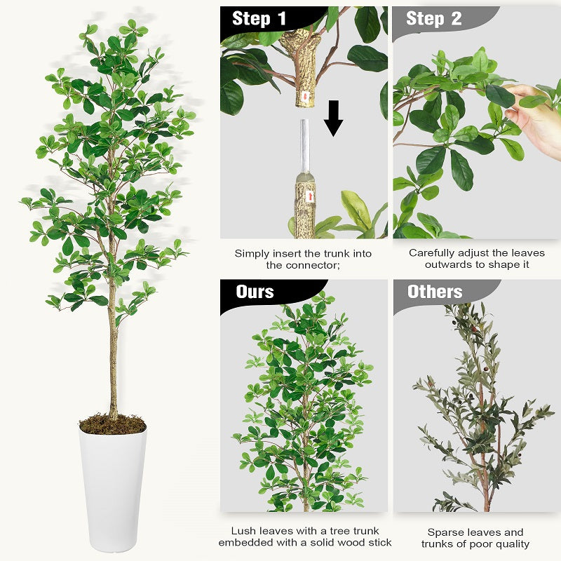 6FT Shady Lady Trees(With White Plastic Pot)