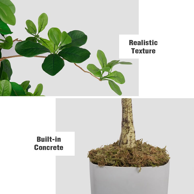 6FT Shady Lady Trees(With White Plastic Pot)