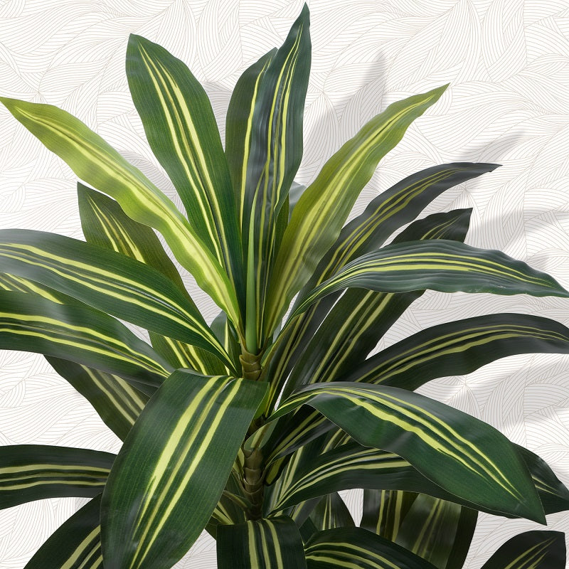 #Style_Three poles & 5FT