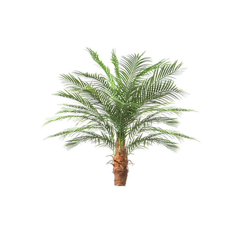 #Size_8FT 18 leaves(240CM)