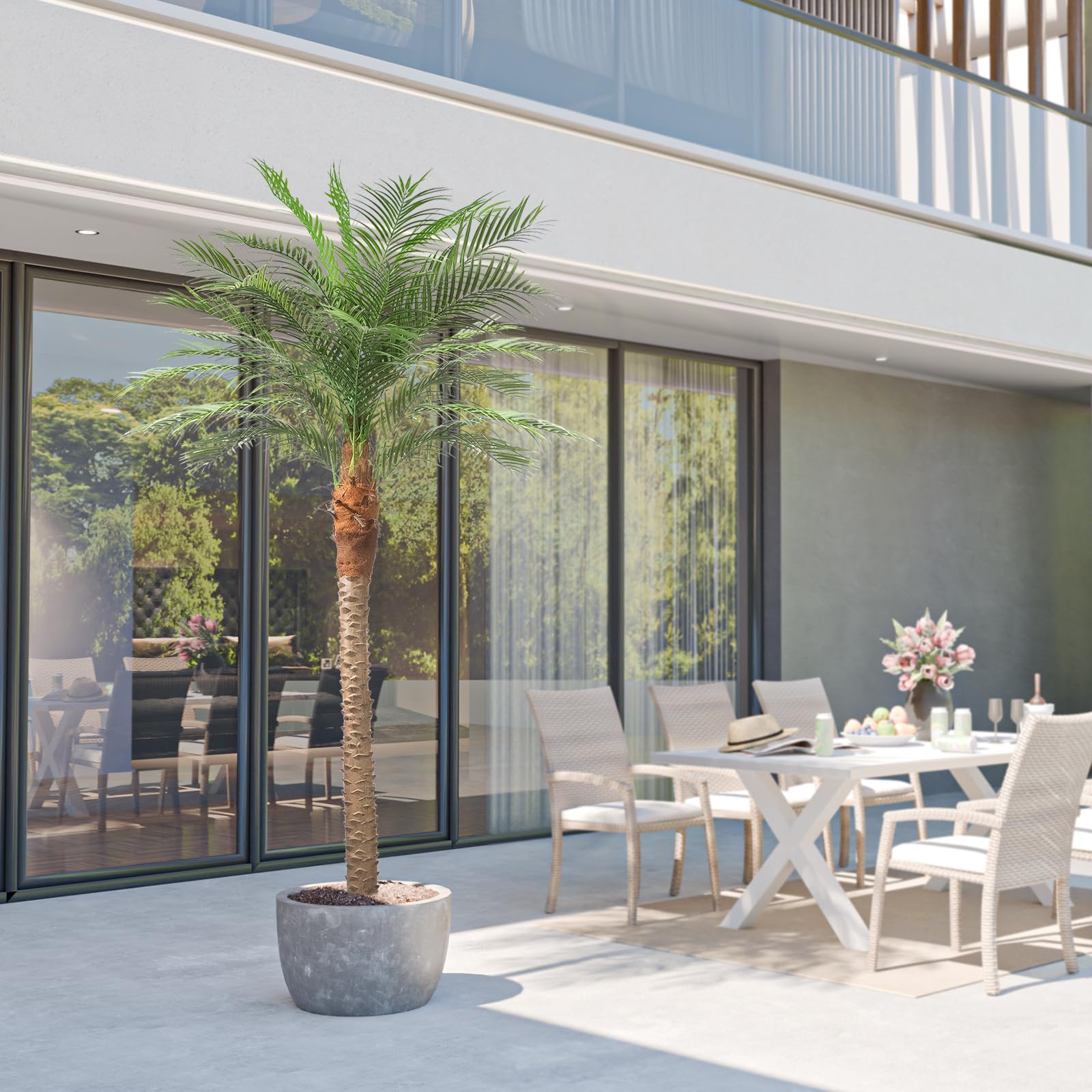 The Perfect Palm Tree for Your Living Space