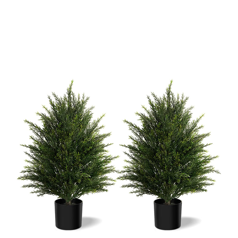 #Style_Potted&Size_2Pack