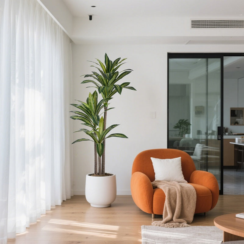 #Style_Three poles & 5FT