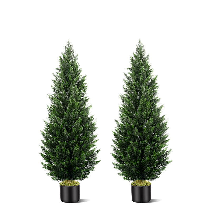 #Size_2Pack 5FT(150cm)