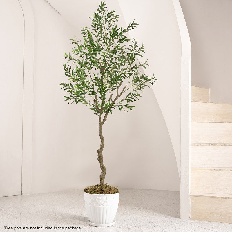 #Size_7FT 968 leaves and 46 fruits