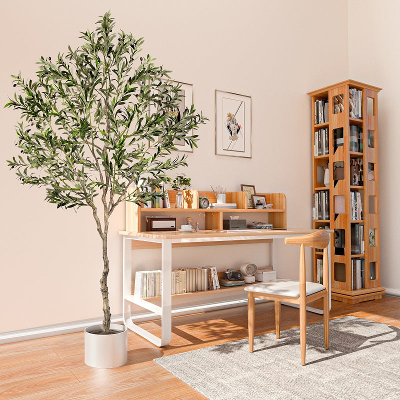 #Size_8FT 1808 leaves 76 fruits