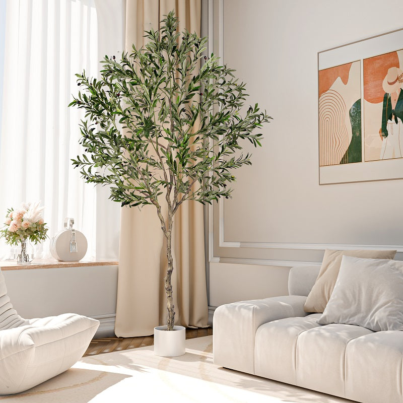 #Size_8FT 1808 leaves 76 fruits