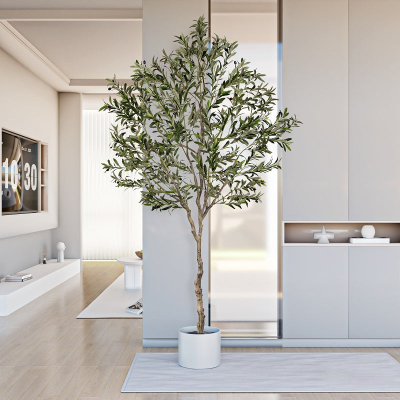 #Size_8FT 1808 leaves 76 fruits