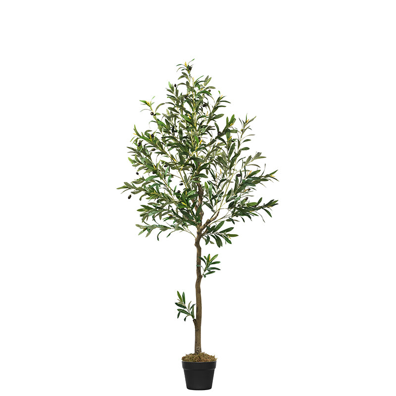 #Size_6FT 863 Leaves 36 Fruits