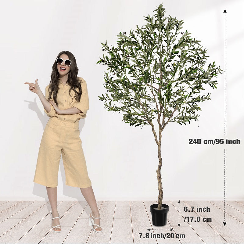 #Size_8FT 1808 leaves 76 fruits